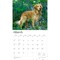For the Love of Golden Retrievers | 2026 14 x 24 Inch (Hanging) Monthly Deluxe Wall Calendar | Foil Stamped Cover | Plastic-Free